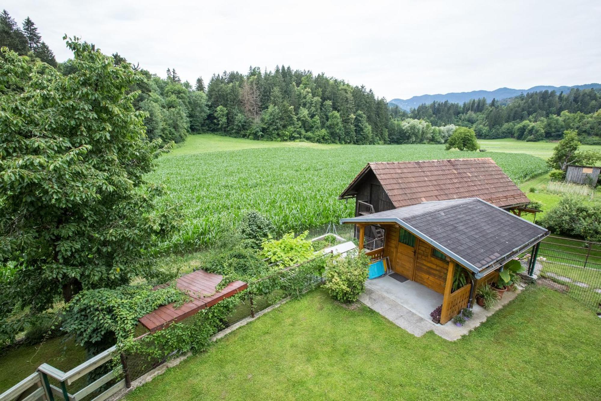 Apartment Ina Bled Exterior foto